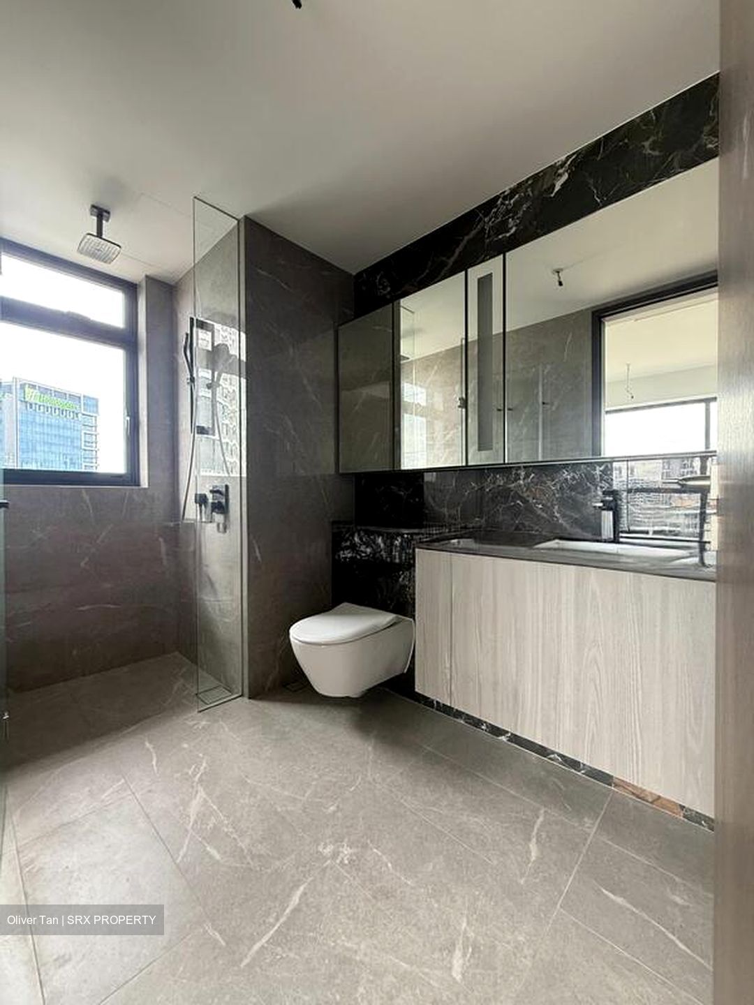 Piccadilly Grand (D8), Apartment #497289911